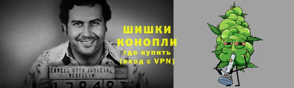 прущий лед Абаза