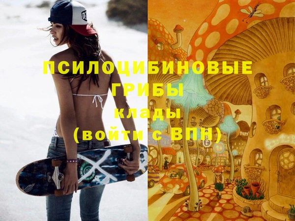 молекула духа Абинск