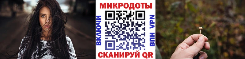 Галлюциногенные грибы Psilocybe  mega как войти  Усть-Кут 