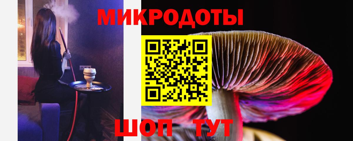Усть-Кут  Псилоцибиновые грибы Psilocybe  Вход с VPN 